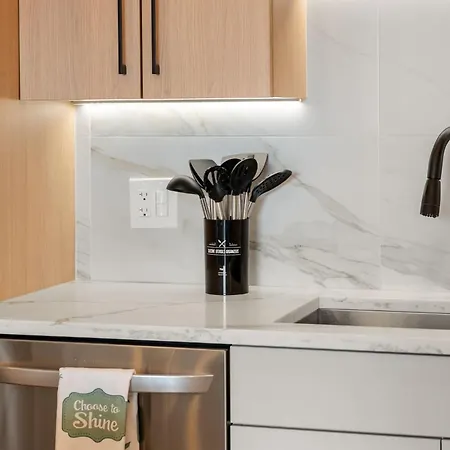 Bright 2bed 2bath In Brand New Pilsen Development Apartment