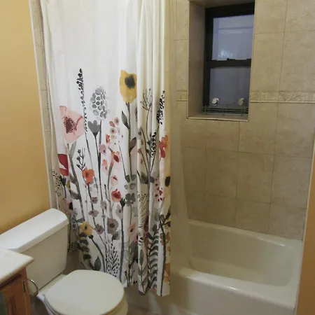 Hyde Park Shared Apartment Chicago