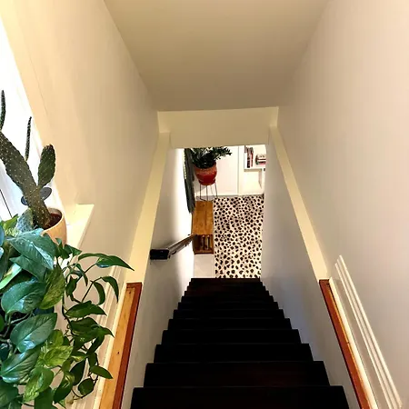 Apartment Stunning 3 Bedrooms 2 Bathrooms Getaway Chicago!