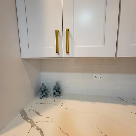 Apartment Beautiful 4 Bedroom 2 Bathroom Near Everything Chicago