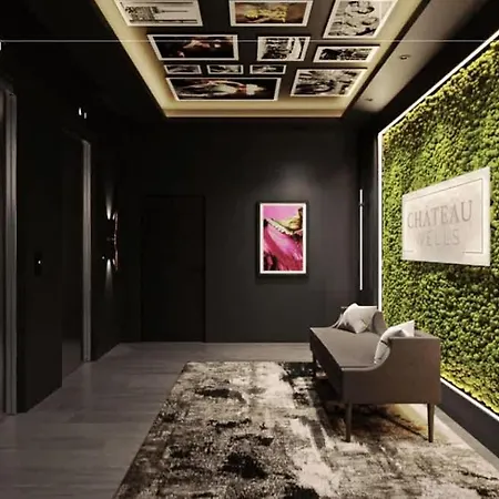Boulevard Walk Everywhere 5 Mins To Magnificent Mile River North 02 Apartment Chicago