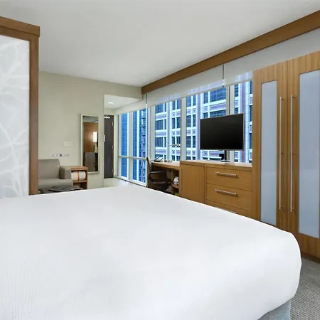 Hotel Hyatt Place Chicago/downtown - The Loop