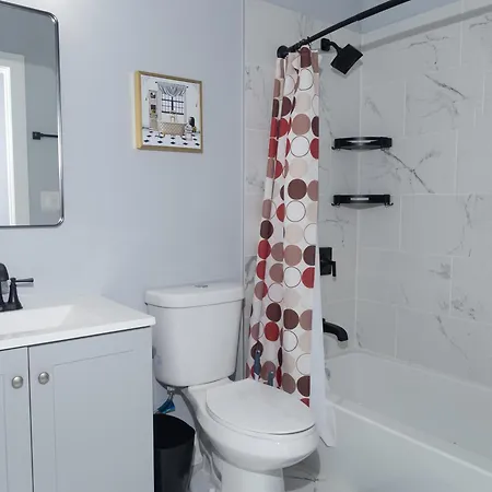 Shared, Spacious Near Uchicago And Obama Center Guest house