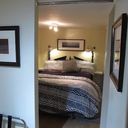 Cozy Vintage Near Downtown Apartment Chicago