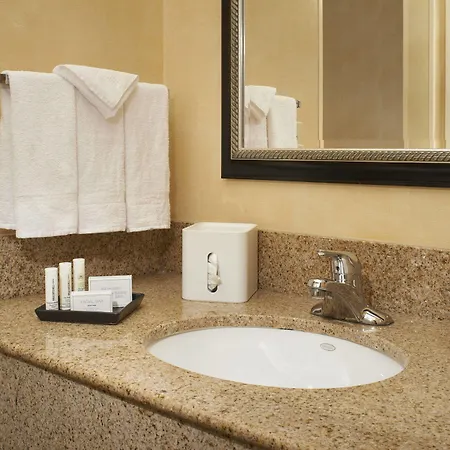 Hotel Courtyard By Marriott Downtown/river North