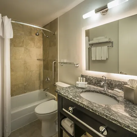 Hampton Downtown/magnificent Mile 3*