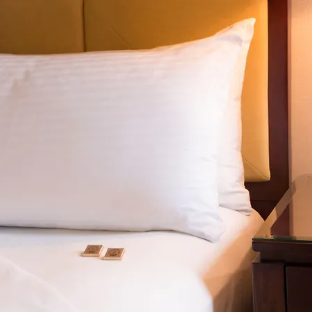 Millennium Knickerbocker Hotel Chicago