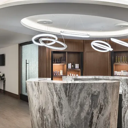 Hotel The Ritz-carlton,