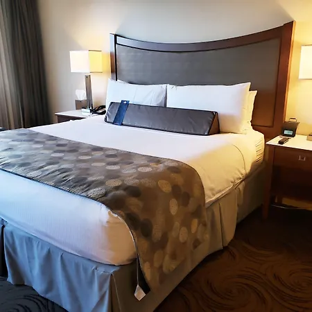 Hotel The Royal Sonesta Downtown 4*