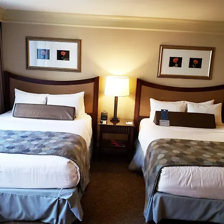The Royal Sonesta Downtown Hotel Chicago