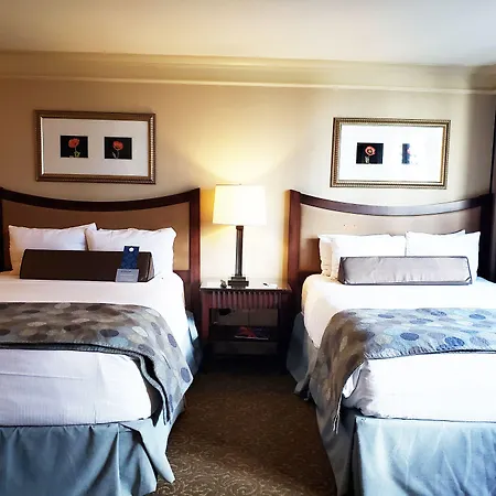 The Royal Sonesta Downtown Chicago
