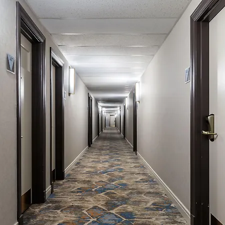 Versey Lincoln Park Hotel Chicago