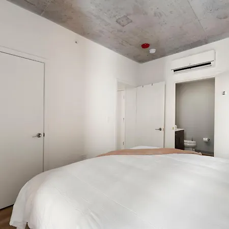 Brand New 4br In Heart Of Chicago