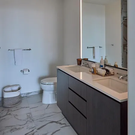Apartment Lux Apts With Views And Amenities Chicago