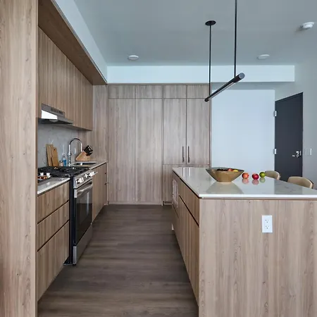 Apartment Lux Apts With Views And Amenities Chicago