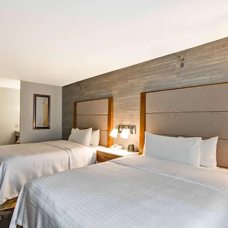 Hotel Homewood By Hilton Chicago-downtown