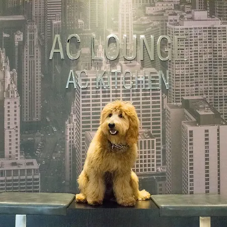 Ac Downtown Hotel 4*