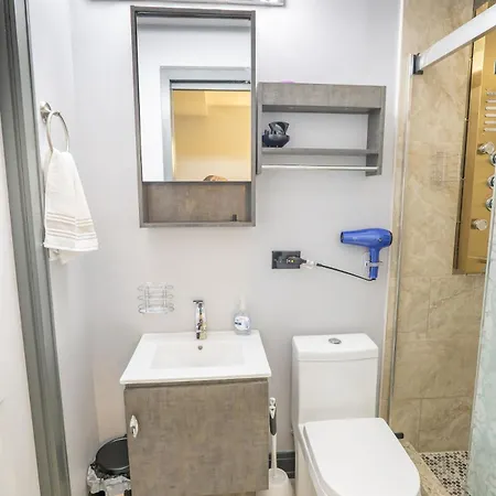 & Cozy 1-bedroom In Irving Park Apartment *