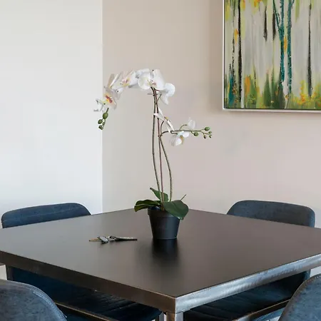 Apartment New Modern 1br Escape Chicago