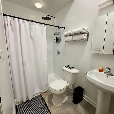 Huge! 3 King Bedrooms With Private Rooftop Lounge On Fulton Market