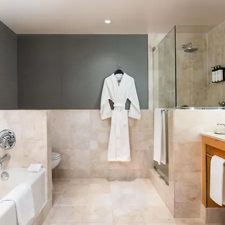 Hotel Sofitel Magnificent Mile 5*