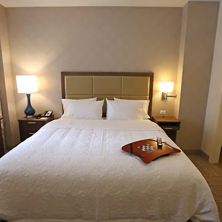 Hotel Hampton Downtown/n Loop/michigan Ave 3*
