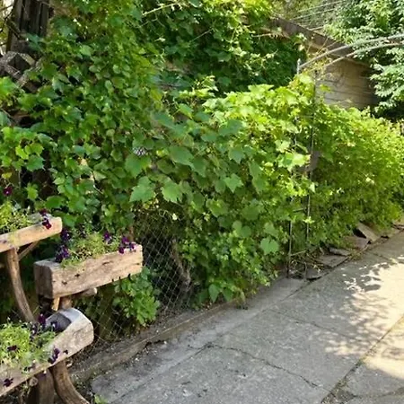 Two Bedroom Garden Apartment