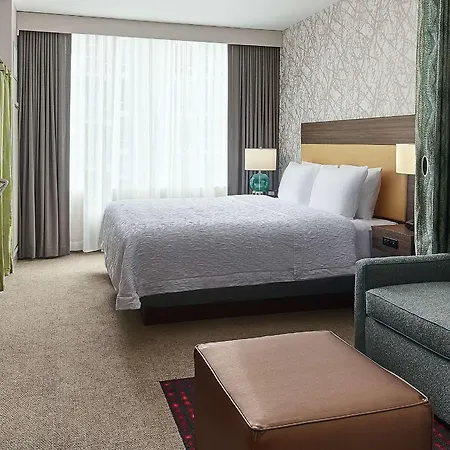 Home2 By Hilton Mccormick Place 3*