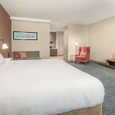 Hotel Hilton Garden Inn- Loop