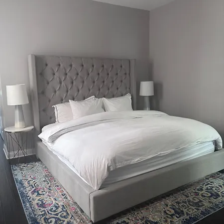 Luxe Hyde Park Gray Stone Near Uofc Apartment *