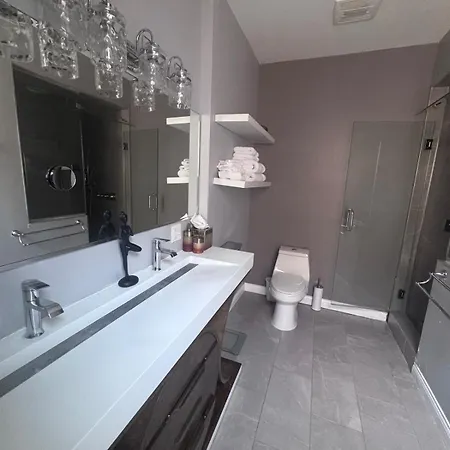 Luxe Hyde Park Gray Stone Near Uofc *
