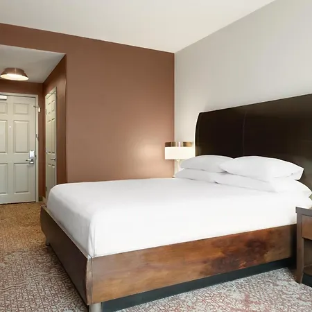 Hilton Garden Downtown/magnificent Mile 3*