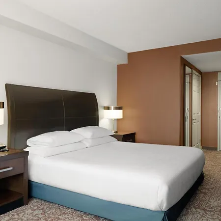 Hilton Garden Downtown/magnificent Mile 3* Chicago
