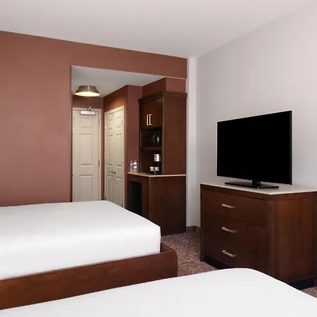 Hilton Garden Downtown/magnificent Mile