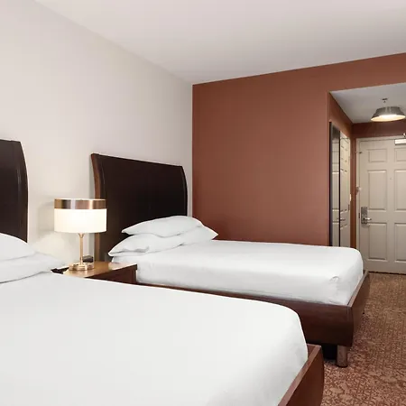 Hotel Hilton Garden Downtown/magnificent Mile