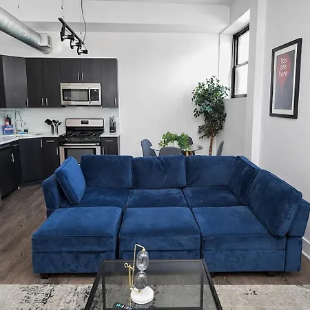 Apartment Spacious 1br With Optional Parking Near Mccormick Place, Field Museum, Adler Planetarium, & Shedd Aquarium