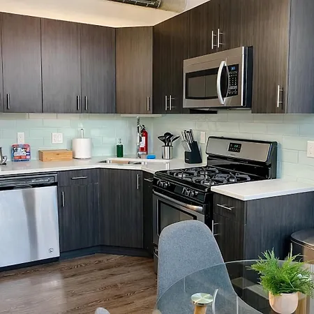 Spacious 1br With Optional Parking Near Mccormick Place, Field Museum, Adler Planetarium, & Shedd Aquarium Chicago