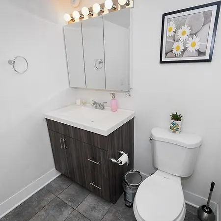 Apartment South Loop 2br Corner Unit With Natural Light, Optional Parking And Guest Access Near Downtown And Mccormick Place Chicago