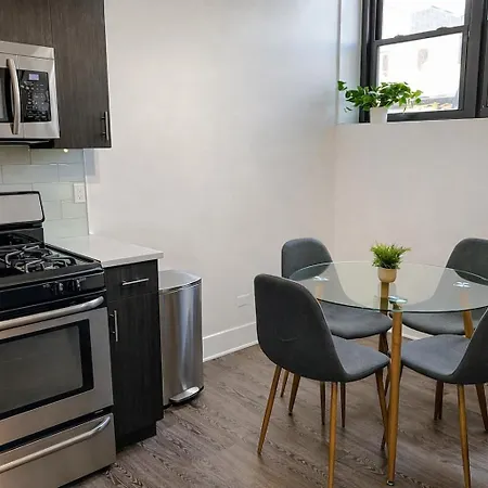 Spacious 1br With Optional Parking Near Mccormick Place, Field Museum, Adler Planetarium, & Shedd Aquarium Apartment *