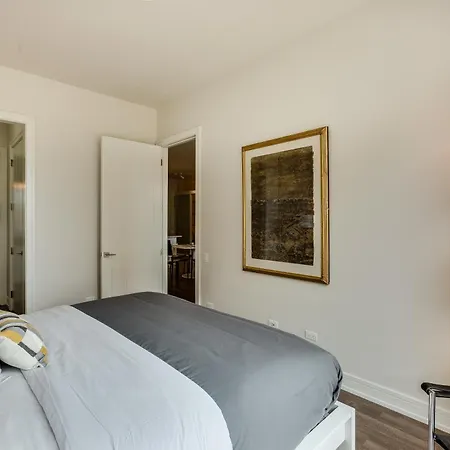 Designer 3br With Balcony & Elevator On Clark! Apts Apartment