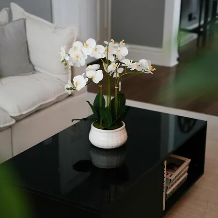 2br W/ Workspace - Coffee Bar - Near Transit *