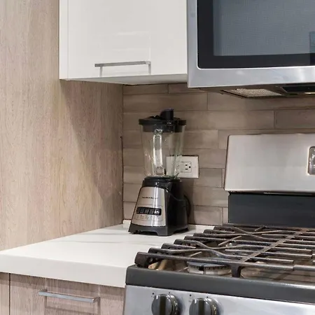 Modern 3br Near Mccormick & South Loop Chicago