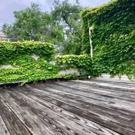 Holiday home 2 Rooftops 2 Car Garage 4 Stories Chicago