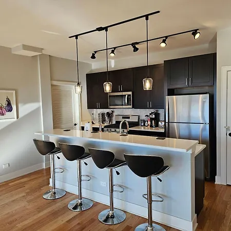 Updated 3 Bedroom Downtown Pilsen Apartment Chicago