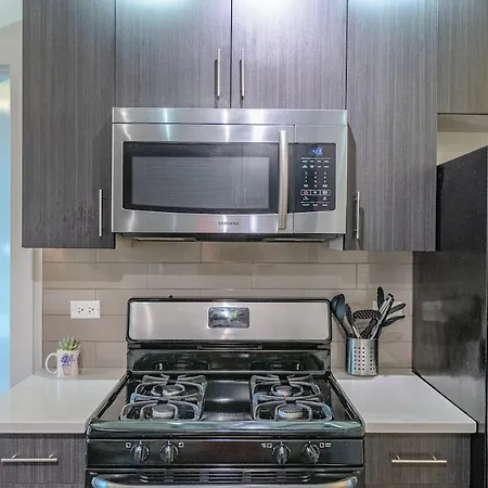 Apartment Spacious 3br Smoke Ok Near Mccormick Place *
