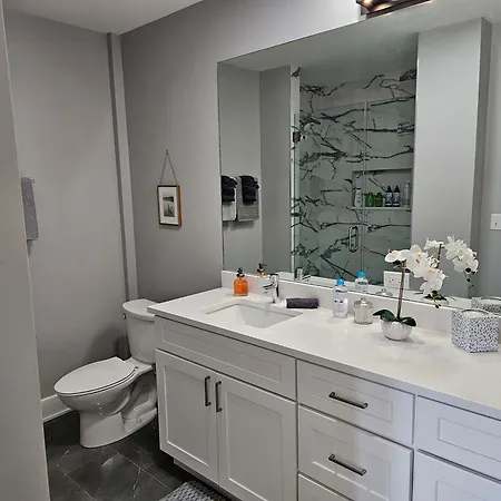 Updated 3 Bedroom Downtown Pilsen Apartment