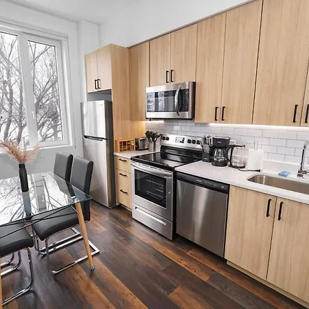 Apartment Large 4br Cozy Near Field Museum & Mccormick *