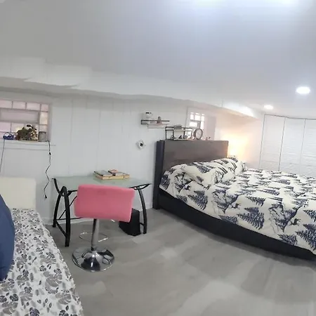 Beautiful Basement Apartment