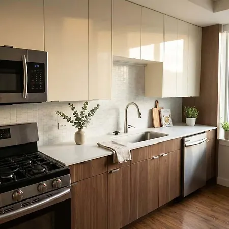 Boulevard Just 5 Minutes From Magnificent Mile And River North 06 Apartment Chicago