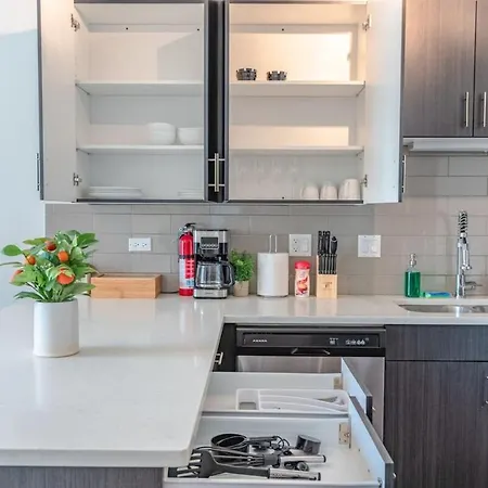 Spacious 3br 420-friendly | Mccormick & Uic Campus Chicago